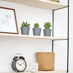 Komfortowo Apartment *