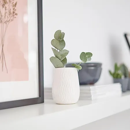 Komfortowo * غدينيا